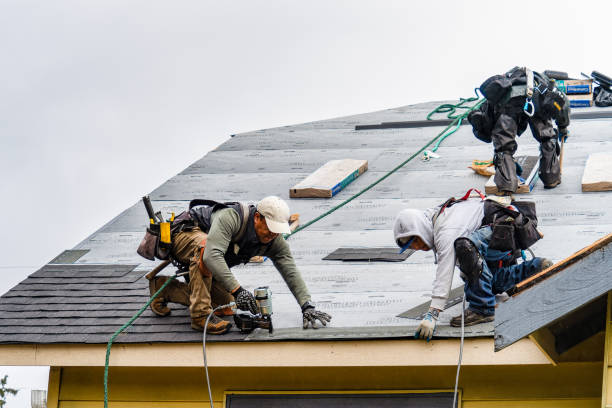 Professional Emergency Roof Repair technician working in Urbana, IL